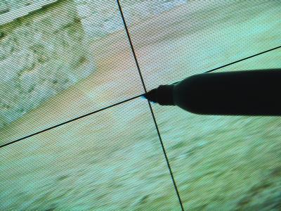 mumble overlay crosshair